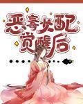 仙侠文女配觉醒后